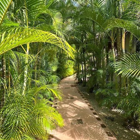 Chalet Tropical Au Coeur De ลาสแตร์เรนาส ภายนอก รูปภาพ