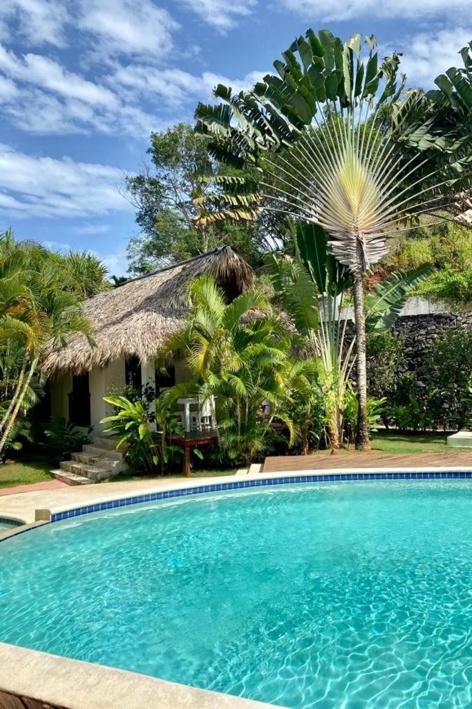 Chalet Tropical Au Coeur De ลาสแตร์เรนาส ภายนอก รูปภาพ
